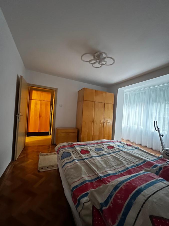 Noreea Central Apartment Timisoara Luaran gambar