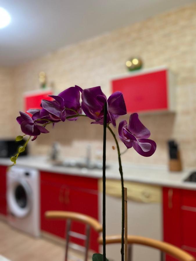 Noreea Central Apartment Timisoara Luaran gambar