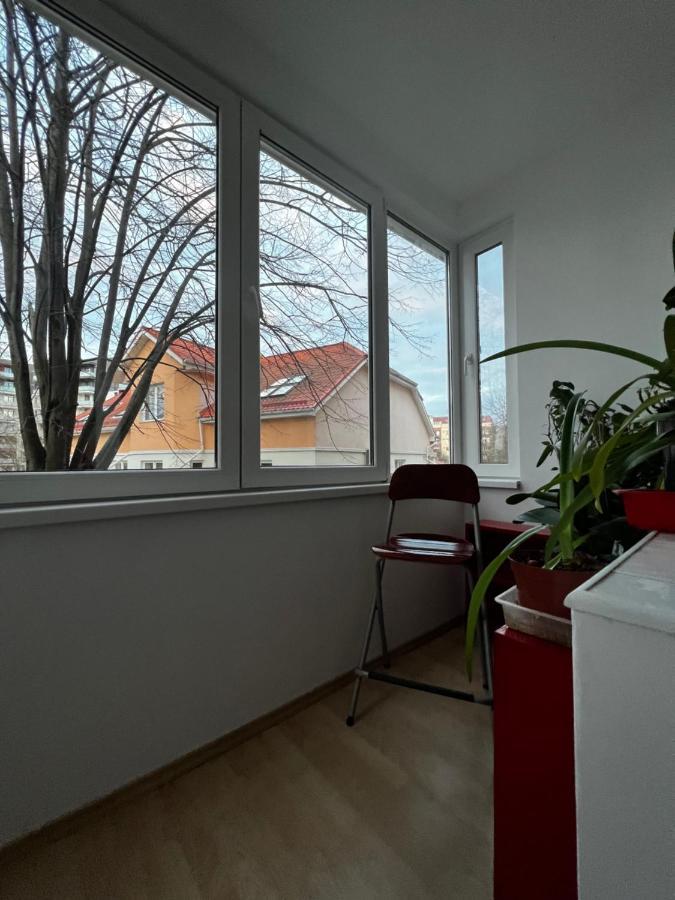 Noreea Central Apartment Timisoara Luaran gambar